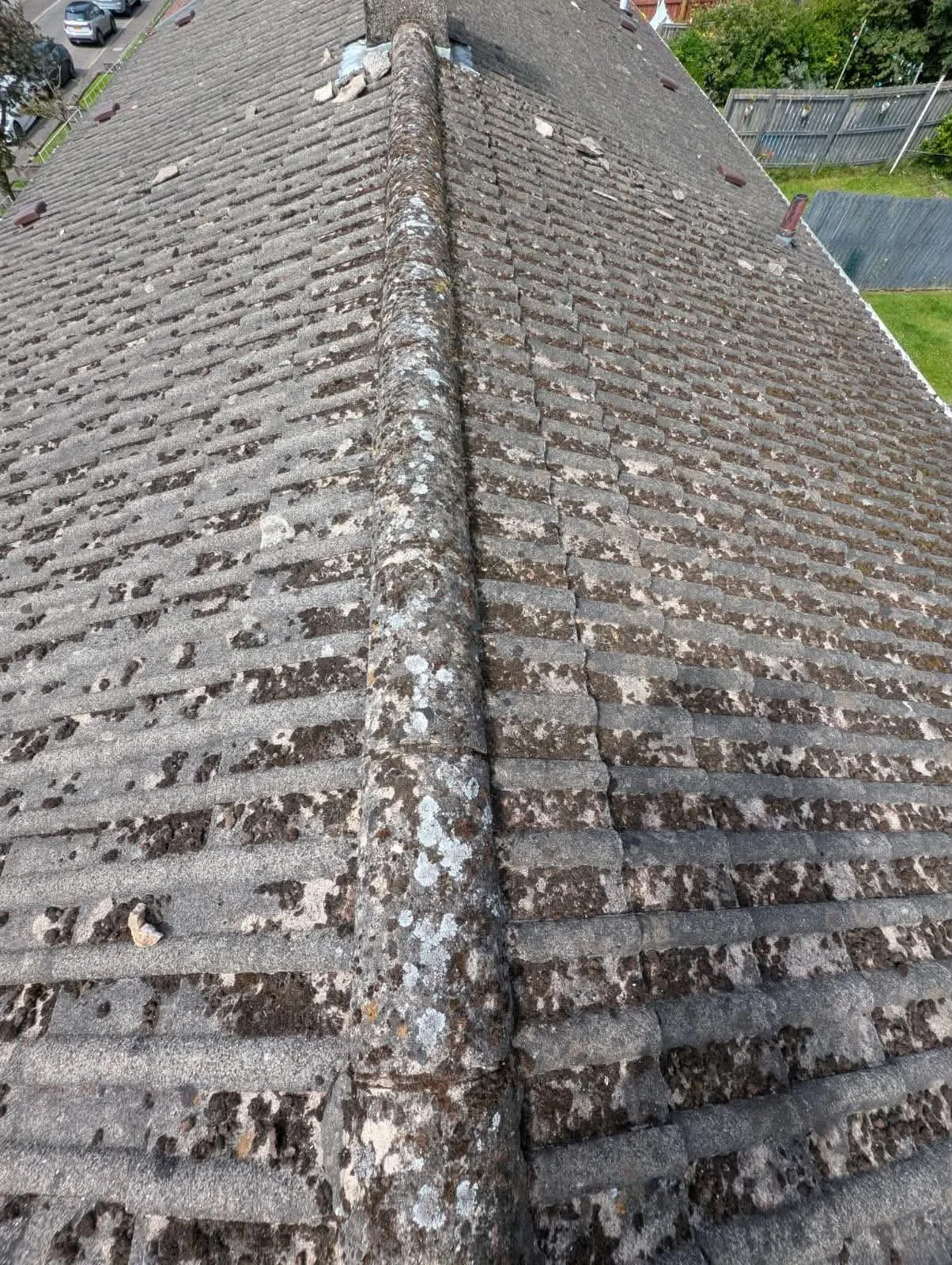 Roof before moss removal